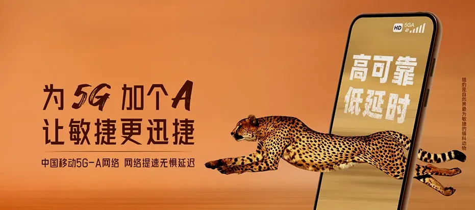 广丰区广丰区桐畈镇 移动宽带